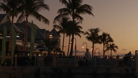 An-inviting-shot-of-a-palm-lined-tropical-resort-hotel-at-dusk