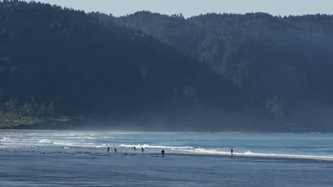Meereswellen-Rollen-In-Oregon-Oder-Nordkalifornien-An-Einen-Strand-1