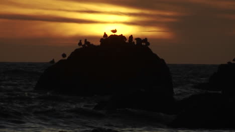 Seagulls-perch-on-a-rock-at-sunset-along-the-Oregon-coast