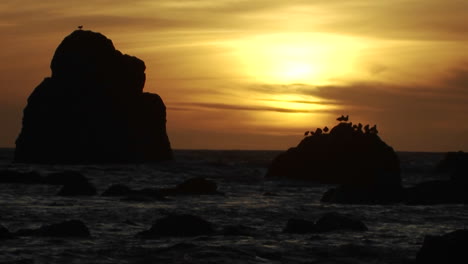 Möwen-Sitzen-Auf-Einem-Felsen-Bei-Sonnenuntergang-Entlang-Der-Küste-Von-Oregon-2