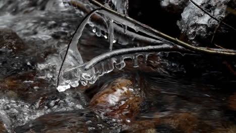 Icicles-hang-from-a-twig-over-a-small-stream-in-the-winter