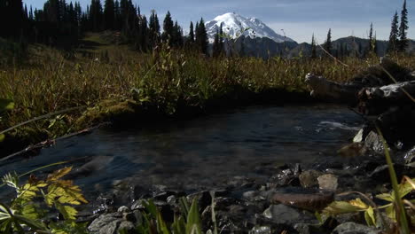 A-beautiful-small-stream-flows-through-the-Cascade-Mountain-range