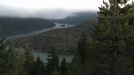 Schöner-Blick-Auf-Den-Columbia-River-Mit-Kiefern-Im-Vordergrund