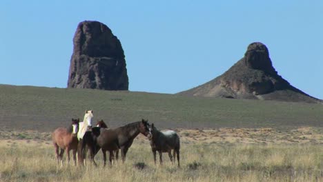 Wild-horses-graze-in-a-field-near-large-montaña-formations-at-Shiprock-Arizona