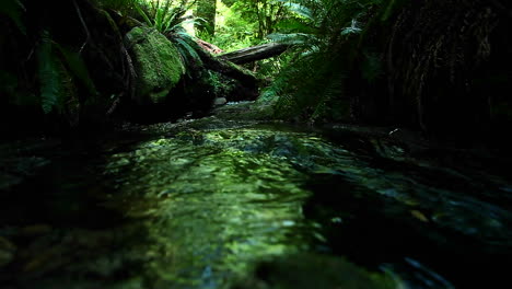A-stream-flows-through-a-forest-9