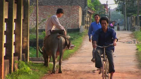 A-man-sits-on-a-water-buffalo-and-watches-people-pass-in-a-rural-village-in-Vietnam
