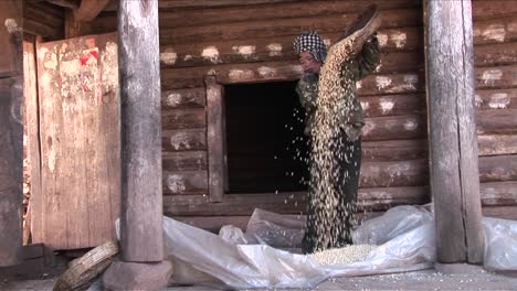 Eine-Bäuerin-Drischt-Und-Gießt-Reis-Auf-Einer-Farm-In-China