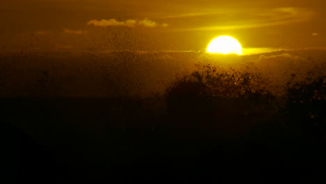 The-sunset-behind-waves-as-they-crest-and-break-in-slow-motion-at-sunset-5