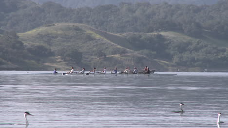 Panning-an-eight-person-rowing-sweep-being-followed-by-their-coach-on-Lake-Casitas-in-Oak-View-California