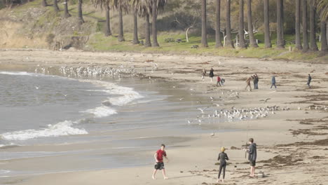 Time-lapse-of-people-chasing-birds-on-Refugio-Beach-State-Park-California