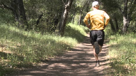 Hombre-Trail-Corriendo-En-El-Bosque-En-El-Río-Ventura-Preservar-En-Ojai-California
