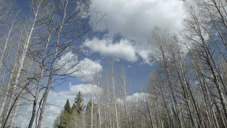Zeitraffer-Von-Wolken,-Die-über-Espenbäume-Im-Hopewell-Lake-New-Mexico-Ziehen
