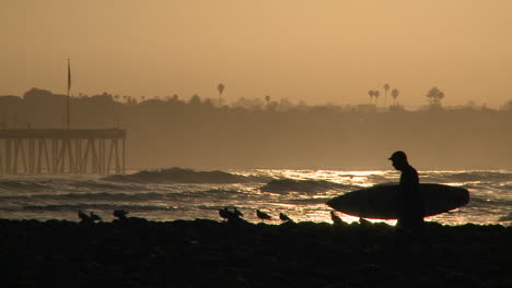 Close-up-surfer-silhouette-getting-out-of-the-water-during-sunrise-at-Surfers-Point-in-Ventura-California