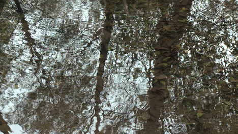 Abstract-reflection-of-ripples-on-water-in-Wheeler-Springs-above-Ojai-California