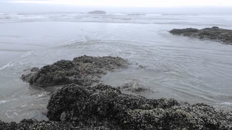 Lapso-De-Tiempo-De-Lavado-De-Olas-En-La-Playa-De-Combers-En-La-Reserva-Del-Parque-Nacional-Pacific-Rim-En-La-Isla-De-Vancouver