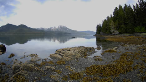 Schneller-Zeitraffer-Der-Flut,-Die-Sich-Auf-Der-Teichinsel-Neben-Der-Kelpbucht-Vor-Der-Insel-Baranof-Im-Südosten-Von-Alaska-Zurückzieht