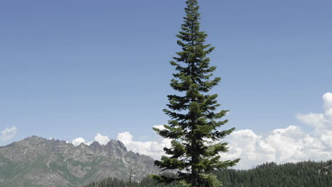 Lapso-De-Tiempo-De-Las-Nubes-De-Tormenta-Que-Se-Forman-Sobre-Sierra-Butte-En-El-Bosque-Nacional-Tahoe-California