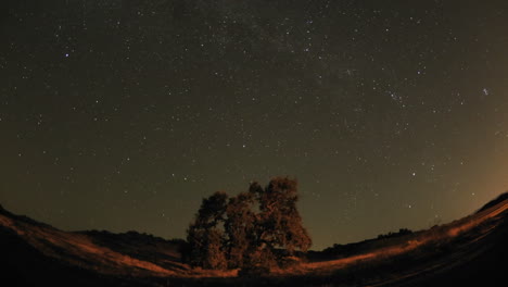 Breite-Nachtzeitraffer-Von-Star-Trails-Und-Valley-Oak-Tree-Während-Eines-Neumonds-In-Oak-View-California
