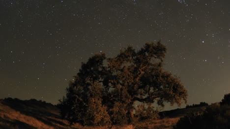 Nächtliche-Zeitrafferbewegung-Von-Sternenpfaden-Und-Taleiche-Während-Eines-Neumonds-In-Eichenansicht-Kalifornien