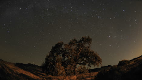 Nachtzeitraffer-Von-Star-Trails-Und-Valley-Oak-Tree-Während-Eines-Neumonds-In-Oak-View-California