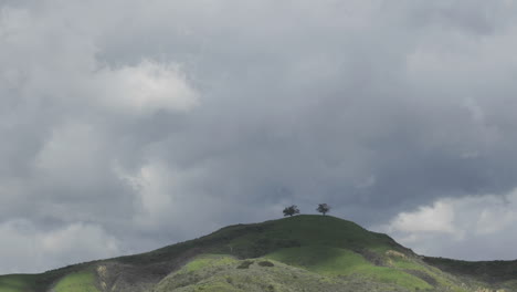 Time-lapse-motion-of-a-developing-storm-over-two-trees-above-Ventura-California