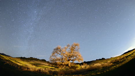 Night-Time-lapse-of-star-trails-and-clouds-over-a-valley-oak-tree-near-Ojai-California