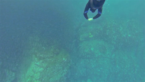 Free-diving-through-a-school-of-Black-Striped-Salema-fish-at-Punta-Vicente-Roca-on-Isabela-Island-in-Galapagos-National-Park-Ecuador