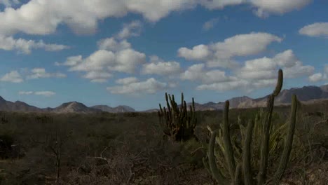 Baja-Desert-06
