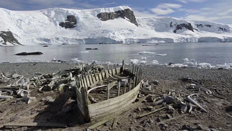 Panning-of-historic-water-vessel-boat-and-whale-bones-at-Mikkelson-Harbor-in-Antarctica