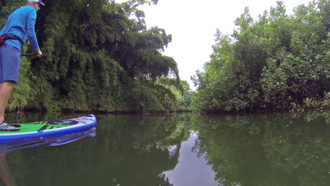 A-man-rows-a-paddleboard-down-a-river-in-Kauai-Hawaii-2