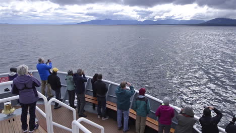 Touristen-Bewundern-Killerwale-Von-Einem-Boot-In-Alaska-Aus