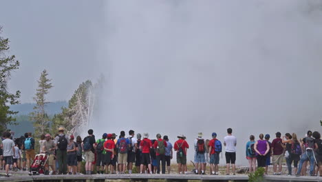 A-large-group-of-tourists-observe-the-eruption-of-Old-Faithful-geyser-in-Yellowstone-National-Park