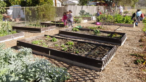 Timelapse-of-volunteer-group-building-raised-beds-in-a-school-garden-at-San-Antonio-Elementary-School-in-Ojai-California