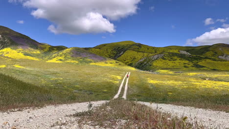 Carrizo-Plain-Road-Zeitraffer-Von-Wolken-California-Wildflower-Superbloom-Mit-PhotographåÊ