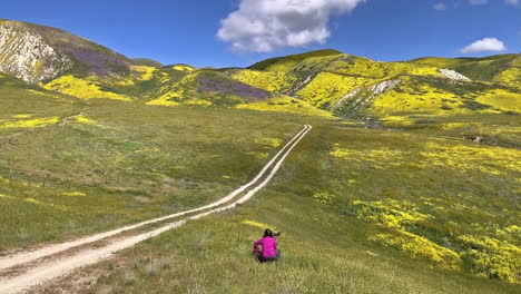 Carrizo-Plain-Road-Und-Frauen-Mit-Gelben-Wildblumen-California-Wildflower-Superbloom