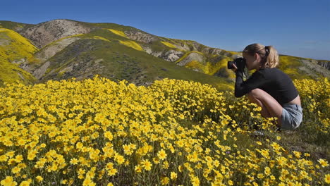 Carrizo-Plain-California-Daisy-wildflowers-superbloom-and-young-girl-photographer-panning-right-2