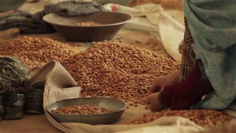 Mujeres-Trabajan-En-Una-Fábrica-En-Afganistán-Produciendo-Y-Envasando-Almendras-Secas-3