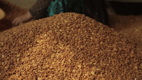 Women-work-in-a-factory-in-Afghanistan-producing-and-packaging-dried-almonds-6