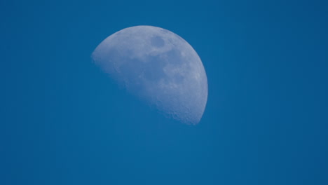 Blauer-Mond-01