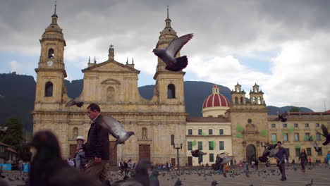 Pigeons-crowd-Plaza-Bolivar-in-downtown-Bogota-Colombia-3