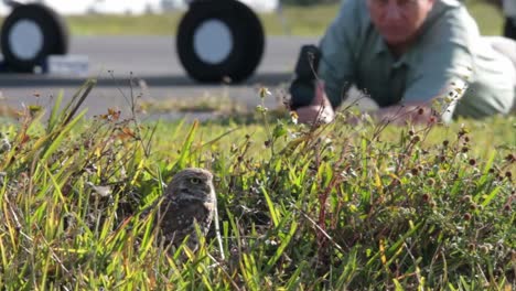 Ein-Naturfotograf-Fotografiert-Eine-Kanincheneule-In-Ihrem-Nest