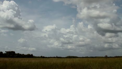 Zeitraffer-Von-Wolken-über-Den-Everglades-1