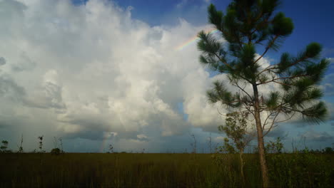 Zeitraffer-Von-Wolken-über-Den-Everglades-3