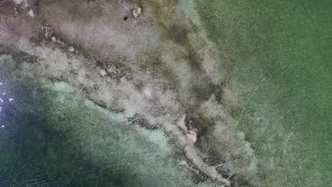 An-aerial-shot-looking-straight-down-over-a-mangrove-island
