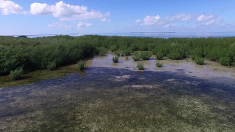 An-aerial-shot-over-a-mangrove-island-in-Florida-1