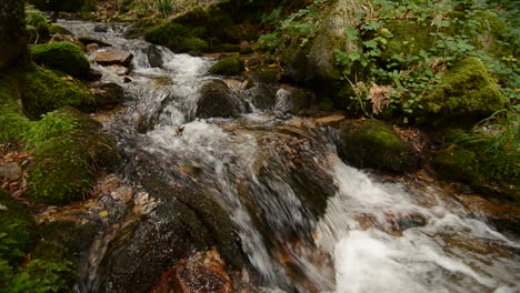Ein-Schöner-Wasserfall-Fließt-Durch-Eine-Waldregion