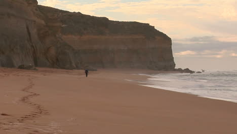 Una-Persona-Camina-En-La-Playa-Al-Lado