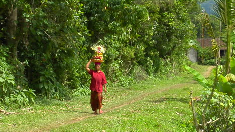 A-Woman-Carries-A-Basket-Of-Fruit-On-Her-Head-While-Walking-Down-A-Lush-Path