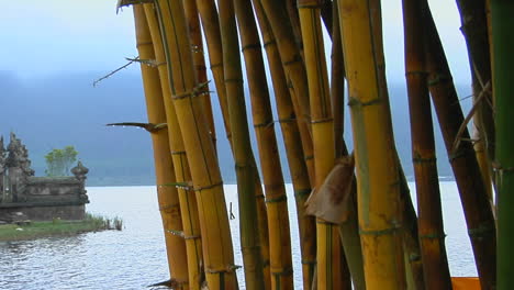 Un-Bosque-De-Bambú-Revela-Un-Templo-Asiático-En-El-Lago-Bratan,-Bali,-Indonesia