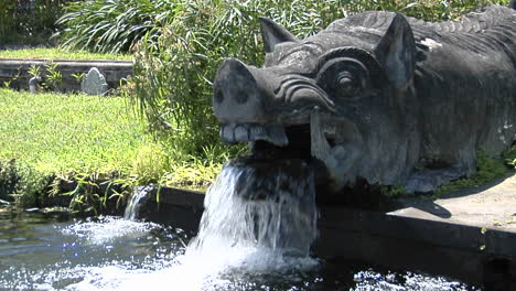 El-Agua-Sale-De-La-Boca-De-Una-Estatua-De-Jabalí-En-Un-Templo-Del-Agua-En-Bali.